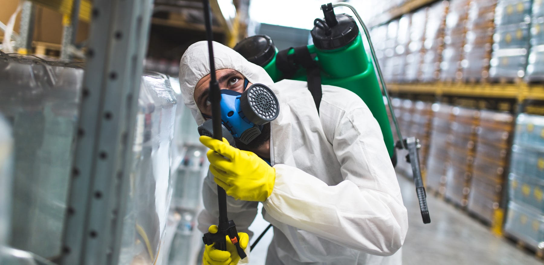 Expert Pest Control Services London & Surrey Wipeout Ltd